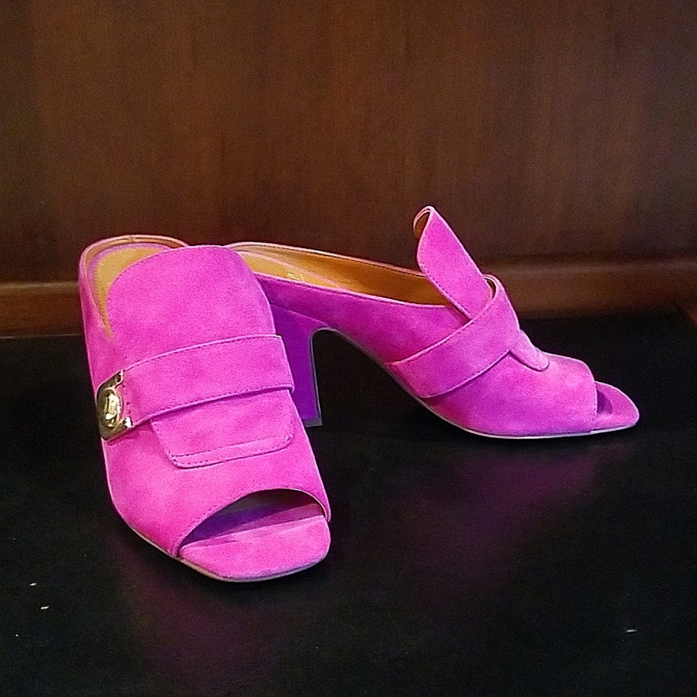 Franco Sarto Rosalie Suede Mules 7M